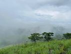 Land for Sale Nuwara Eliya Pundaluoya