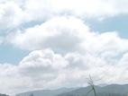 Land for sale Nuwara Eliya pussellawa