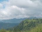 Land for sale Nuwara Eliya Road