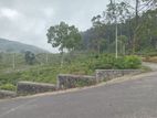 Land for sale Nuwara Eliya Road
