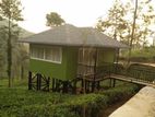 Land for Sale Nuwara Eliya Road
