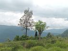 Land for Sale Nuwara Eliya Road