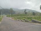 Land for Sale Nuwara Eliya Road