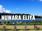 Land for sale Nuwara Eliya Road