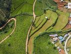 Land for Sale Nuwara Eliya Road