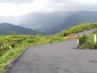 Land for Sale Nuwara Eliya Road