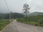 Land for sale Nuwara Eliya Road