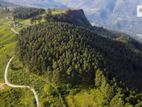 Land for sale Nuwara Eliya Road