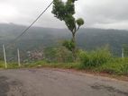 Land for Sale Nuwara Eliya Road Pundaluoya