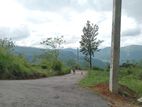 Land for sale Nuwara Eliya Road pundaluoya