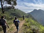 Land for sale Nuwara Eliya Road pundaluoya
