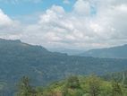Land for sale Nuwara Eliya Road pundaluoya