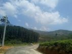 Land for sale Nuwara Eliya Road Ramboda