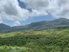 Land for sale Nuwara Eliya Road Ramboda