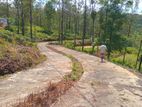 Land for sale Nuwara Eliya Road Ramboda