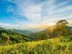 Land for Sale Nuwara Eliya Rothes