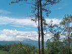 Land for Sale Nuwaraeliya