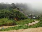 Land for Sale Nuwaraeliya