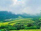 Land for Sale Nuwaraeliya