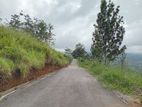 Land for sale Nuwaraeliya