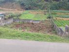 Land for Sale - Nuwaraeliya