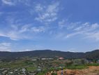 LAND FOR SALE NUWARAELIYA