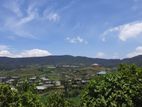 Land for Sale Nuwaraeliya