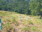 LAND FOR SALE NUWARAELIYA ROAD