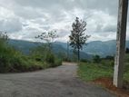Land for Sale Nuwaraeliya Road