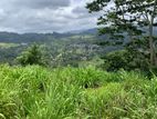 Land for Sale Nuwaraeliya Road Pussellawa