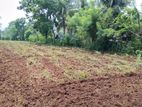 Land for Sale Omanthai Vavuniya