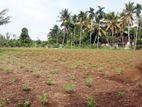 Land for Sale on Kumbuka - Gonapola