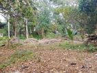 Land for sale on Negombo-Kattuwa