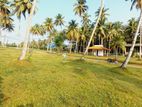 Land for Sale on Thalgahawila Bus Road