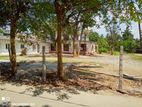 Land for Sale Wellampitiya