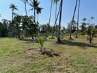 Land for sale or Rent in Pannala
