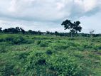 Land for Sale Ottukuluma