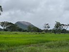 Land for Sale Overlooking Sigiriya Rock D/L0008