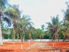 Land for Sale පානදුර