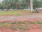 Land for Sale පානදුර