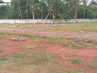 Land for Sale පානදුර