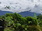 Land for Sale Pabahinna