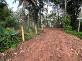 Land for Sale - Paddy Field View Meegoda