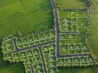 Land for Sale – Padeniya Up03