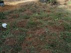 Land for Sale Padukka Arukwaththa