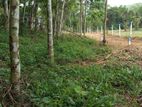Land for Sale Padukka