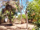 Land for Sale - Palamumai 02