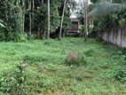 Land for Sale - Palapathwala 20 Mins to Matale City