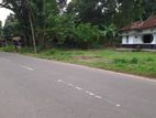 Land for Sale Pallewela