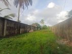 Land for Sale – Palliyawatta Road[ELK020L]
